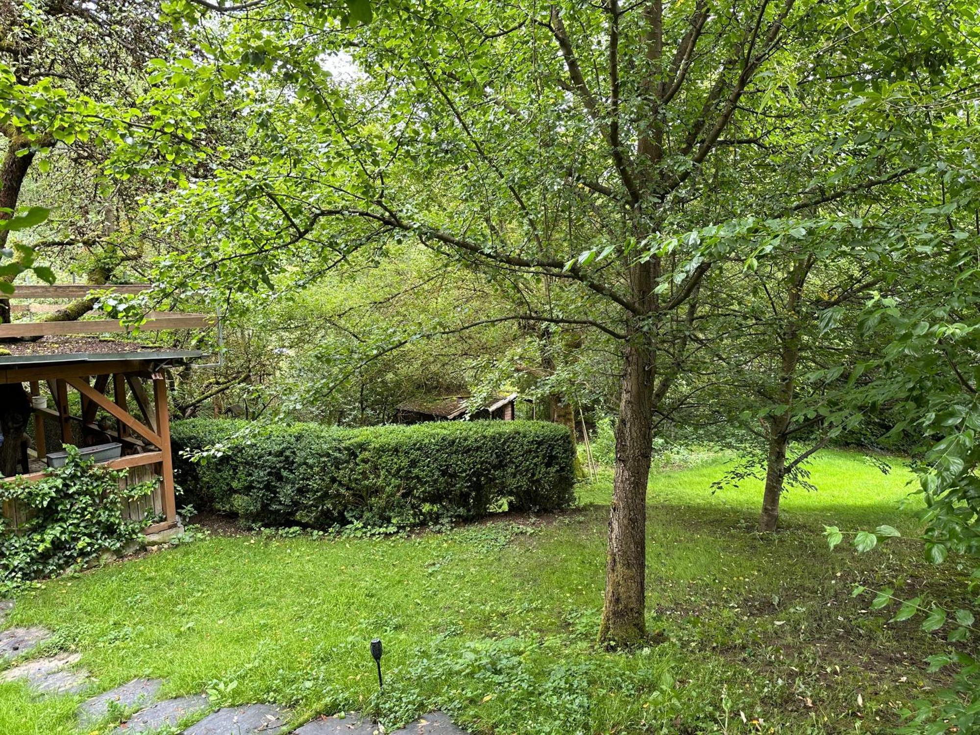 Gartenhaus - Dietzhaeuschen Suhl Zewnętrze zdjęcie